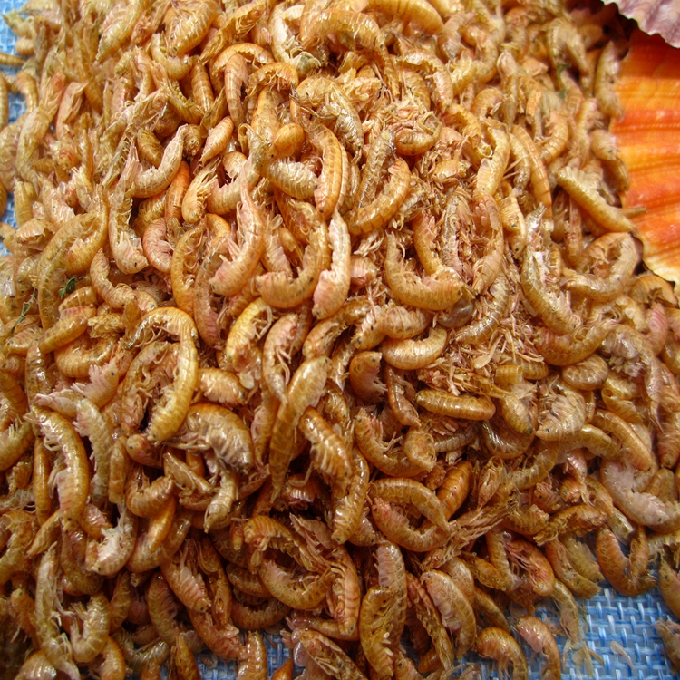 Dried Gammarus for Pet Fish Food High Nutrition